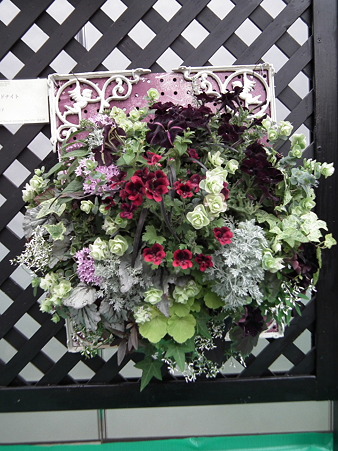 DSCF0317