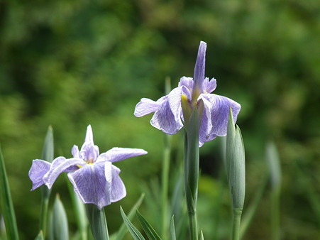 DSCF0262
