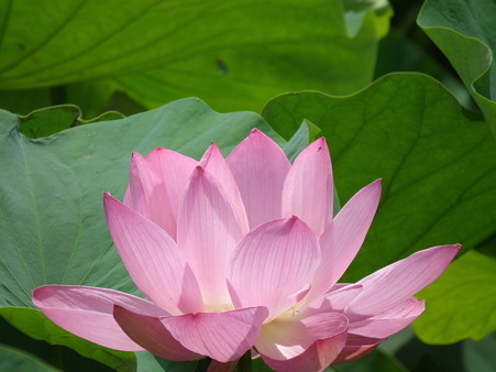 DSCF0167