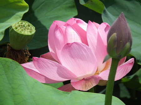 DSCF0170