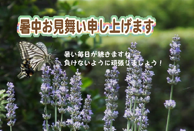 暑中10