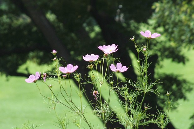 DSCF0135