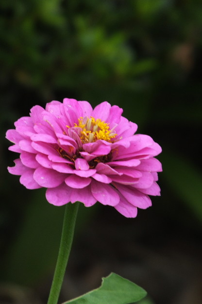 DSCF0167
