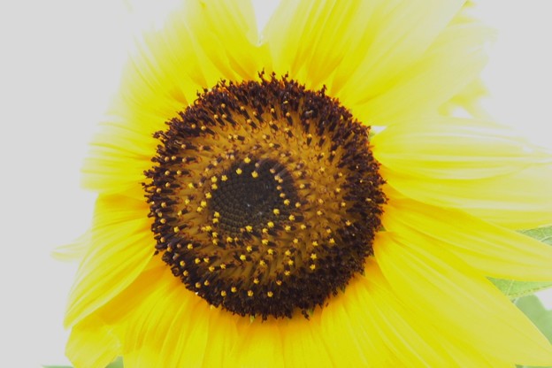 DSCF0174