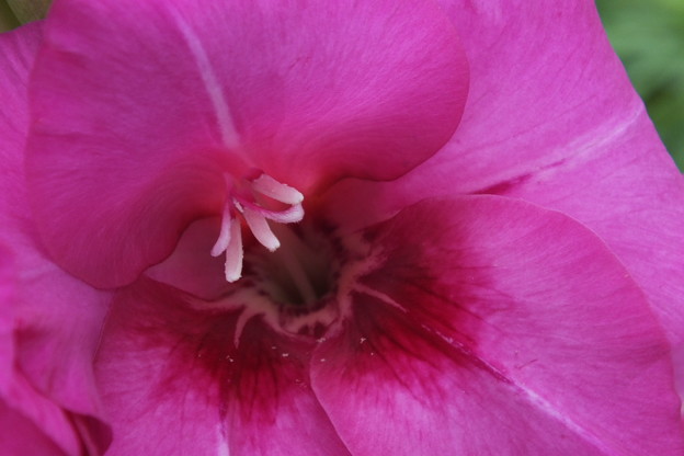 DSCF0292