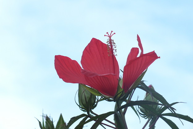 DSCF0160