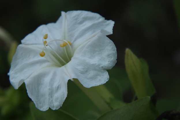 DSCF0183