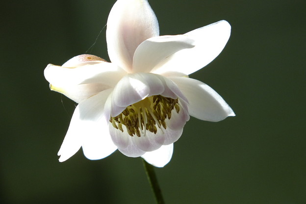 DSCF0235