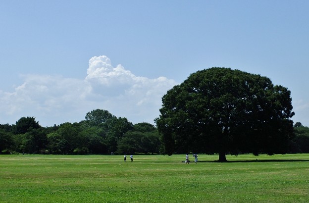 DSCF0261