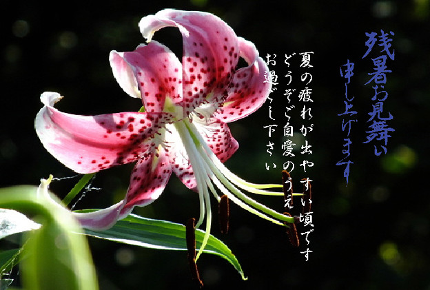 残暑29