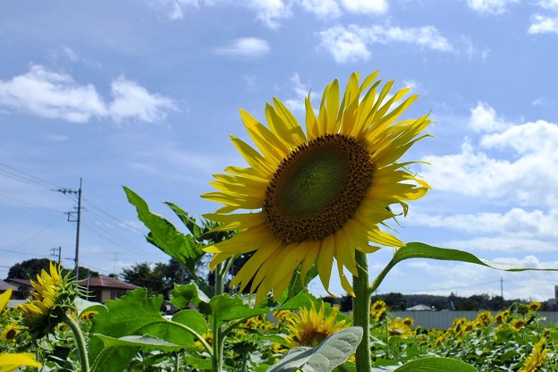 DSCF0026