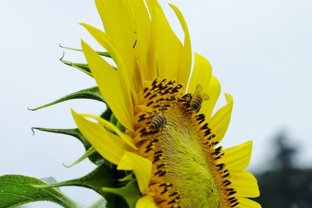 DSCF0097
