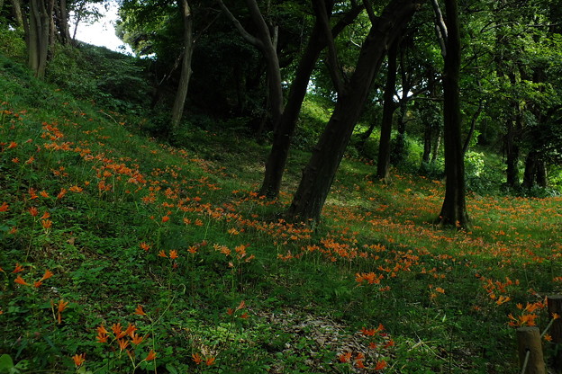 DSCF0157