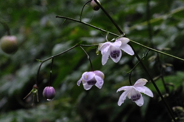 DSCF0048