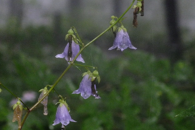 DSCF0156