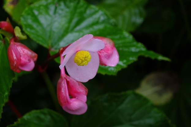 DSCF0167