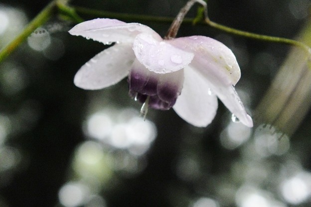 DSCF0128