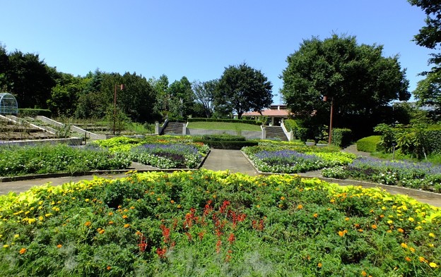 DSCF0148