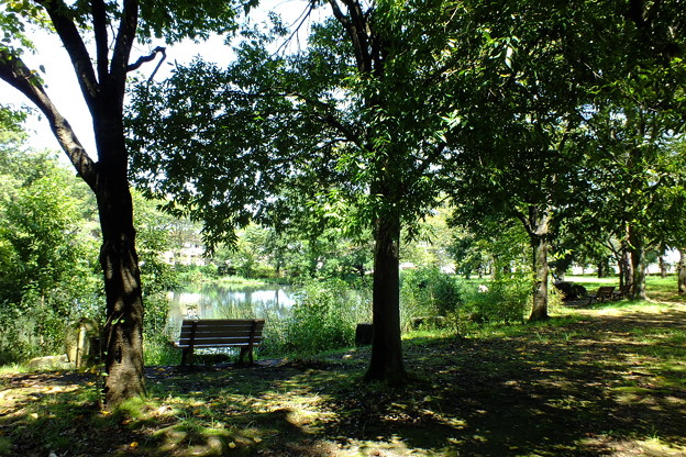 DSCF0094