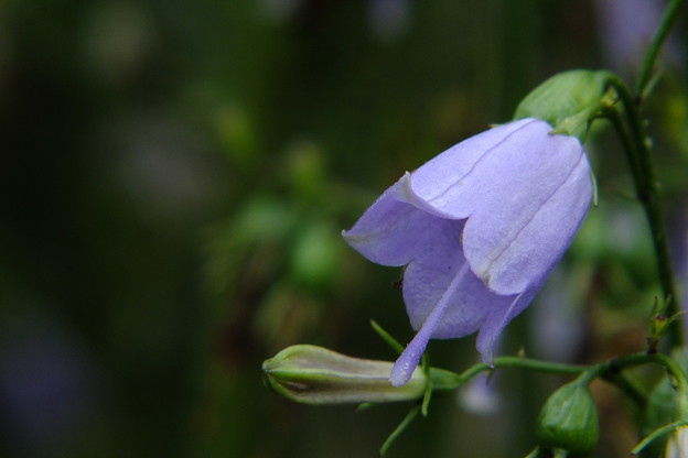 DSCF0198