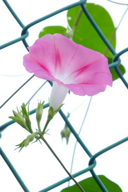 DSCF0070