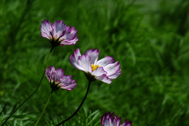 DSCF0047