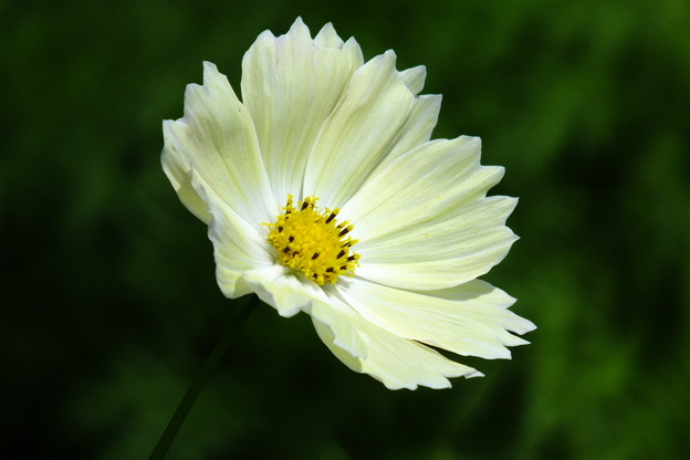 DSCF0175