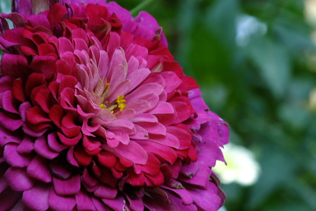 DSCF0232