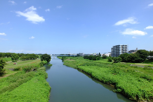 DSCF0002