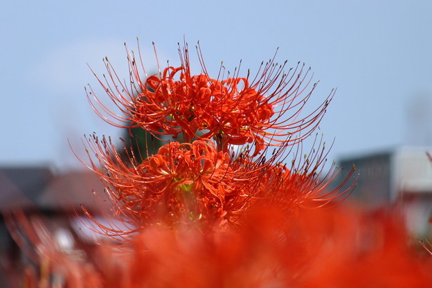 DSCF0098