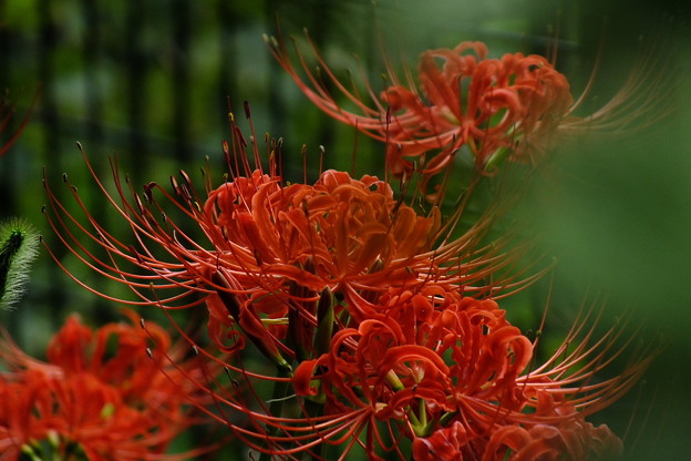 DSCF0572