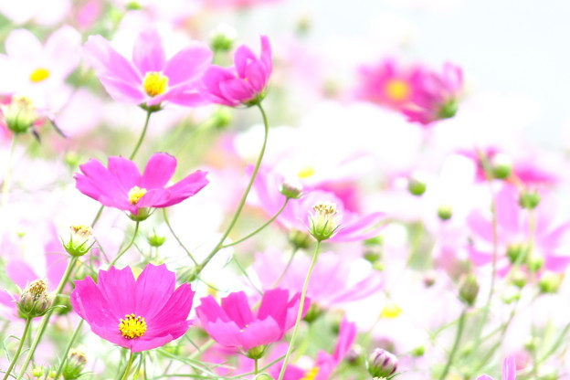 DSCF0749