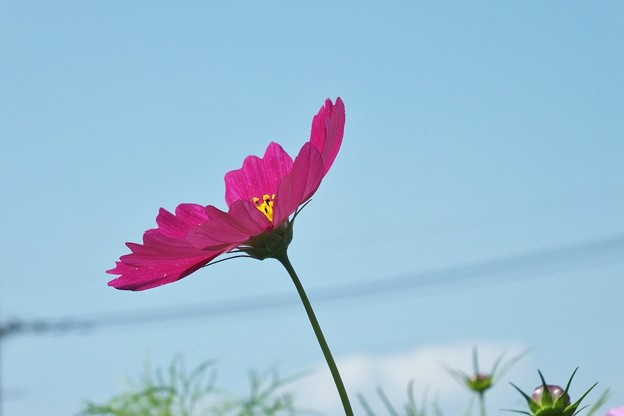 DSCF0119