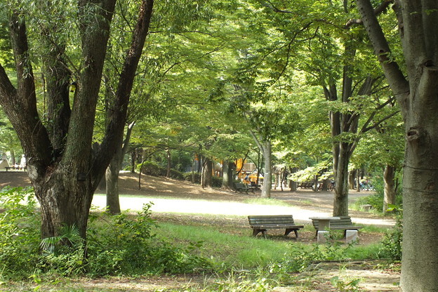DSCF0227