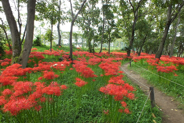 DSCF0028