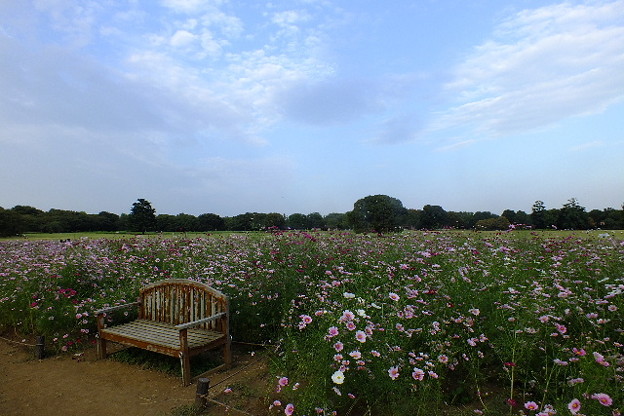 DSCF0667