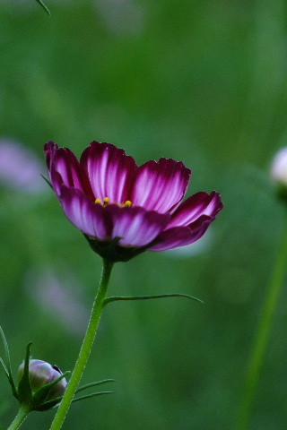 DSCF0576