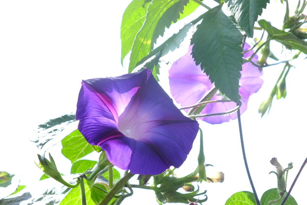 DSCF0002