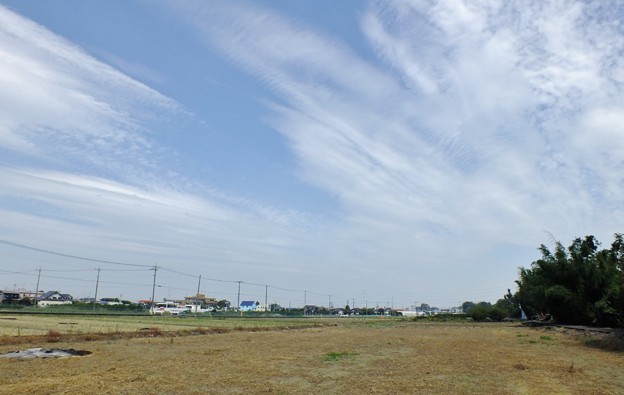 DSCF0259