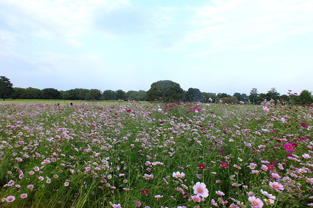 DSCF0665