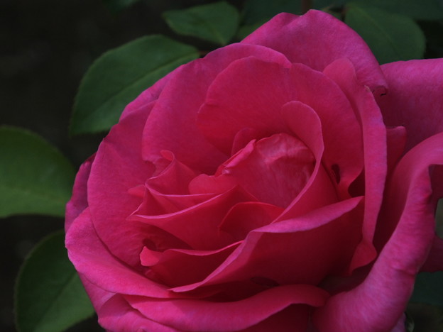 DSCF0259
