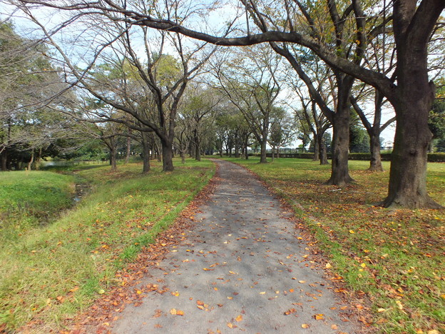 DSCF0130