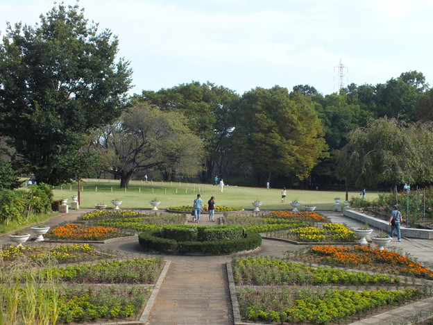 DSCF0463