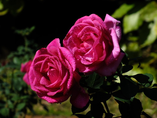 DSCF0057