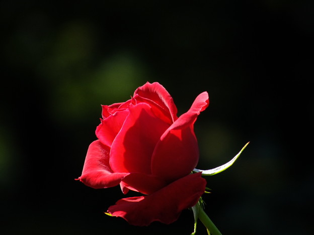 DSCF0341