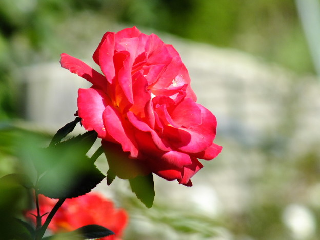 DSCF0071