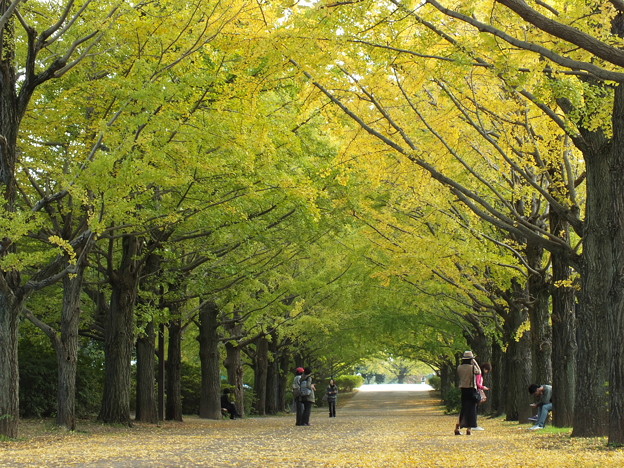 昭和記念公園392