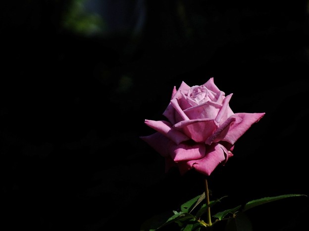 DSCF0016