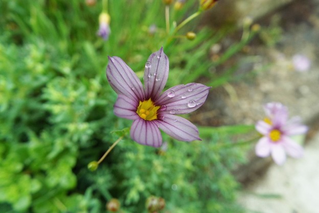 DSCF0035