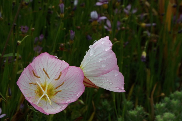 DSCF0072